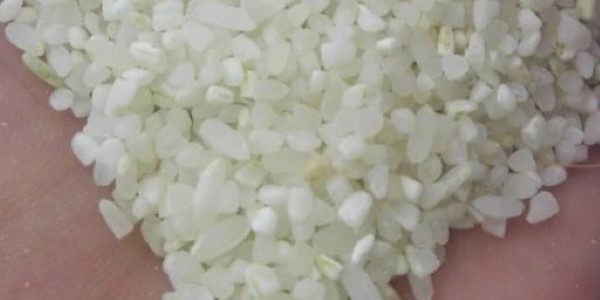 تصویر 2 از قیمت برنج نیم دانه کامفیروز با کیفیت ارزان + خرید عمده